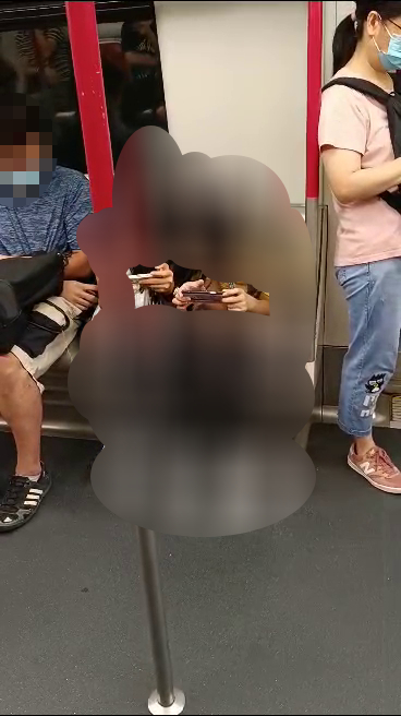一名22歲男子在將軍澳線列車車廂內，懷疑非禮座位旁邊一名12歲陌生女童。網上片段