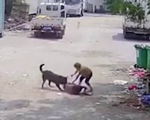 死者被黑狗咬住頭頸。互聯網圖片