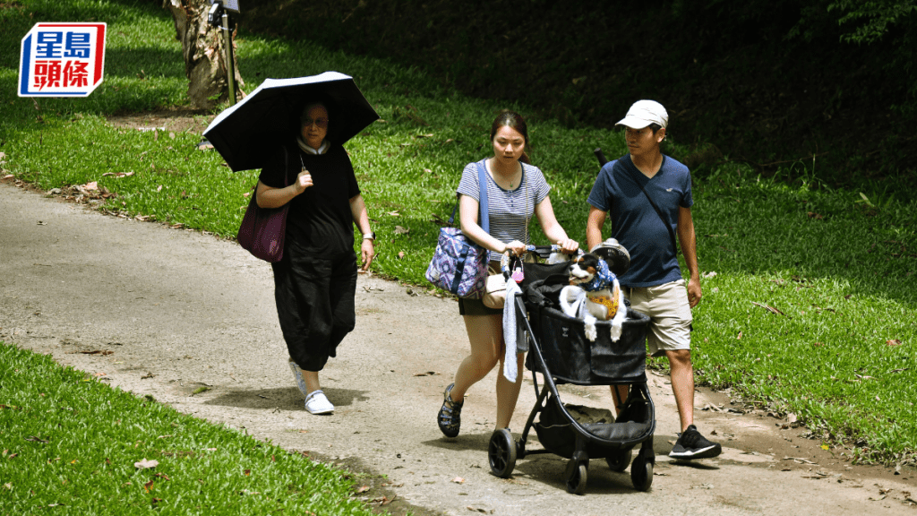 寵物旅行︱回港隔離檢疫期長輪候難 議員倡推「寵物易通行」