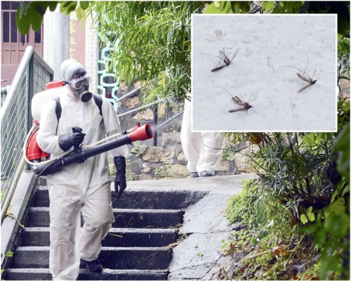 署方提醒市民，由於今年秋季溫度仍然偏高，要做好防蚊措施。 資料圖片