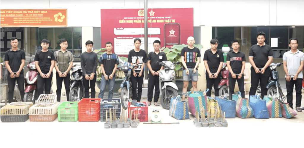 越南胡志明市警方捣破一个涉嫌长期偷猫及贩卖猫只的犯罪集团，12名男子被控“盗窃财产”并遭羁押候查。越南警方图片