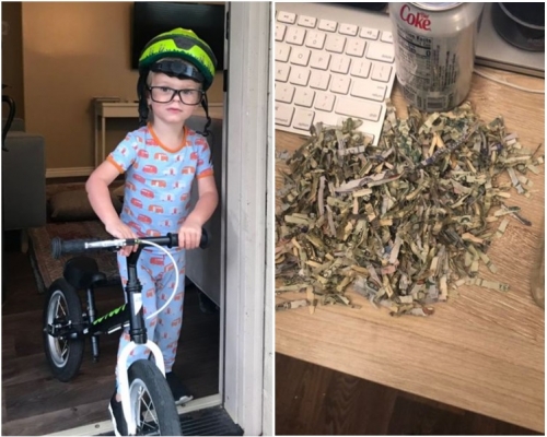 捣蛋鬼利奥（左１）将1060美元（约8268港元）现钞放进碎纸机。网图