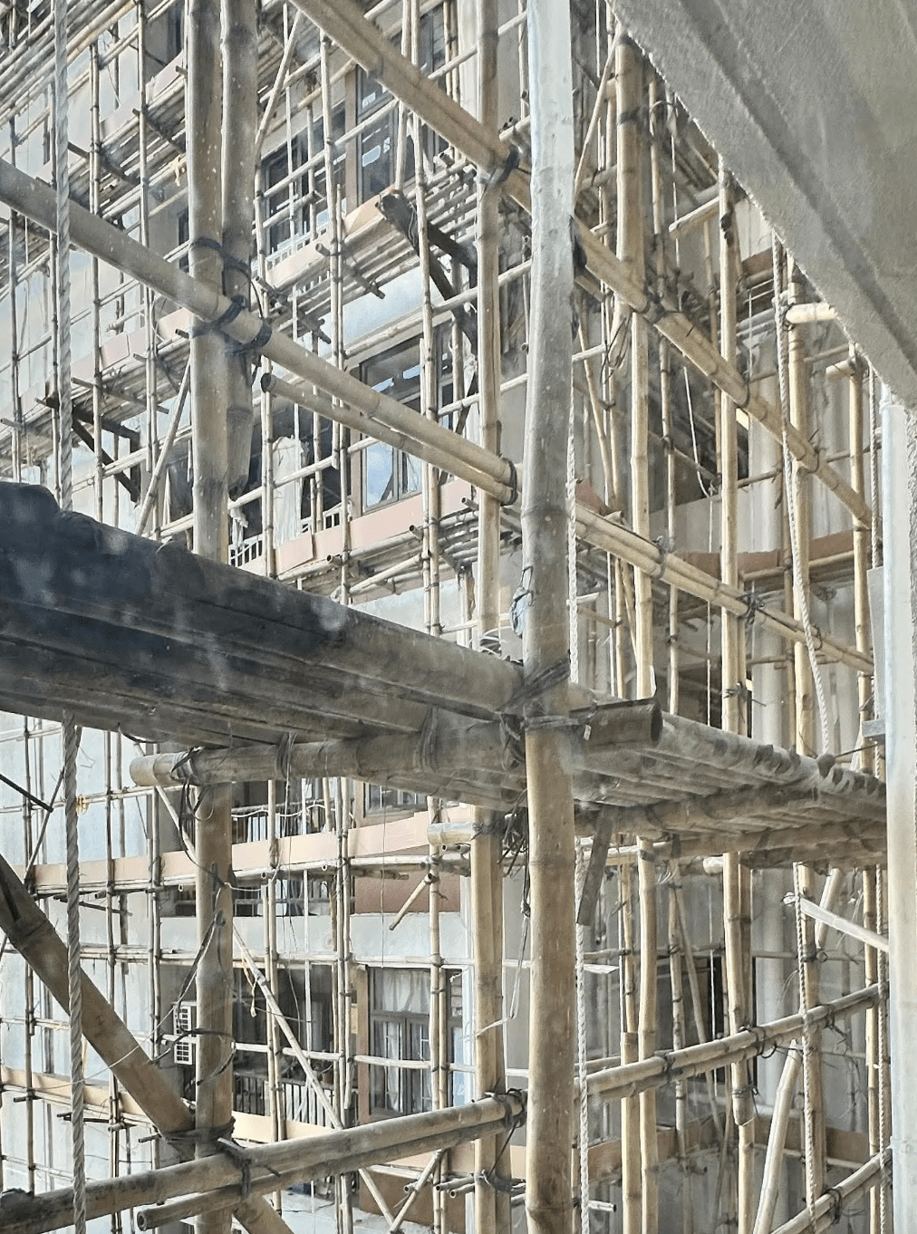 沙田火炭老牌屋苑穗禾苑正進行大型維修，其承建商「富林工程營造有限公司」率先收緊紀律，推出「上棚前搜身」及「舉報獎勵」措施，嚴禁工人在竹棚及外牆範圍吸煙。Threads@haruhae.de