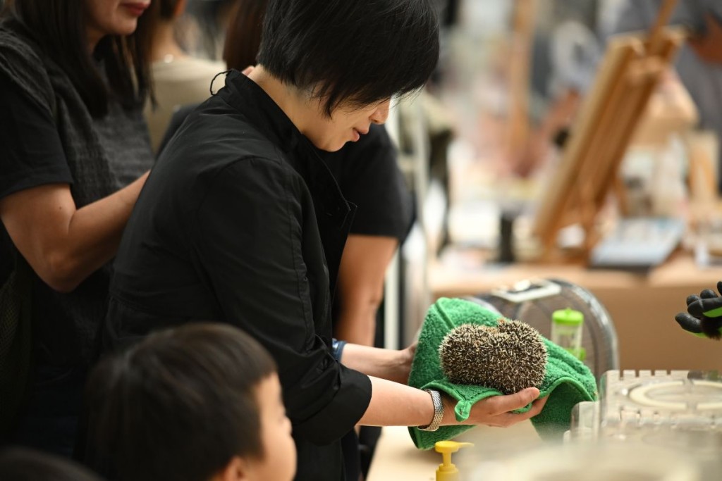 市集設有不同寵物，包括鸚鵡、山羊及兩棲爬行動物近距離接觸環節，讓市民了解不同寵物的習性與照料方式。