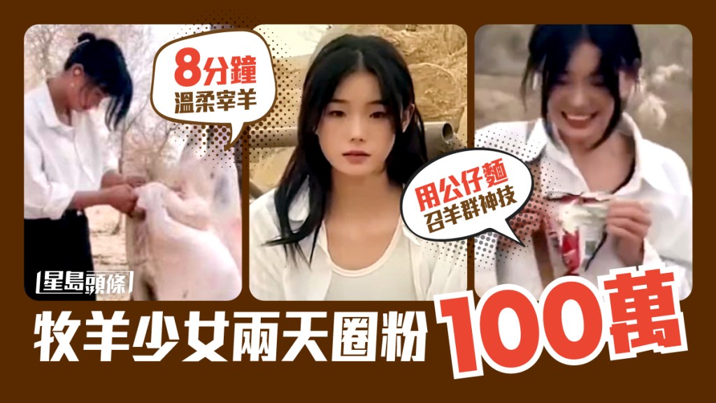牧羊少女8分鐘溫柔宰羊,即食麵召喚羊群神技兩天圈粉100萬。