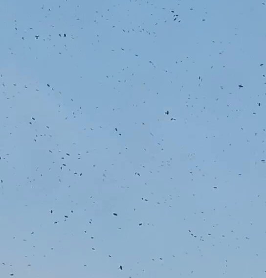 樓主:點解會咁㗎?fb「天水圍街坊鄰里」截圖 樓主:點解會咁㗎?fb「天水圍街坊鄰里」截圖