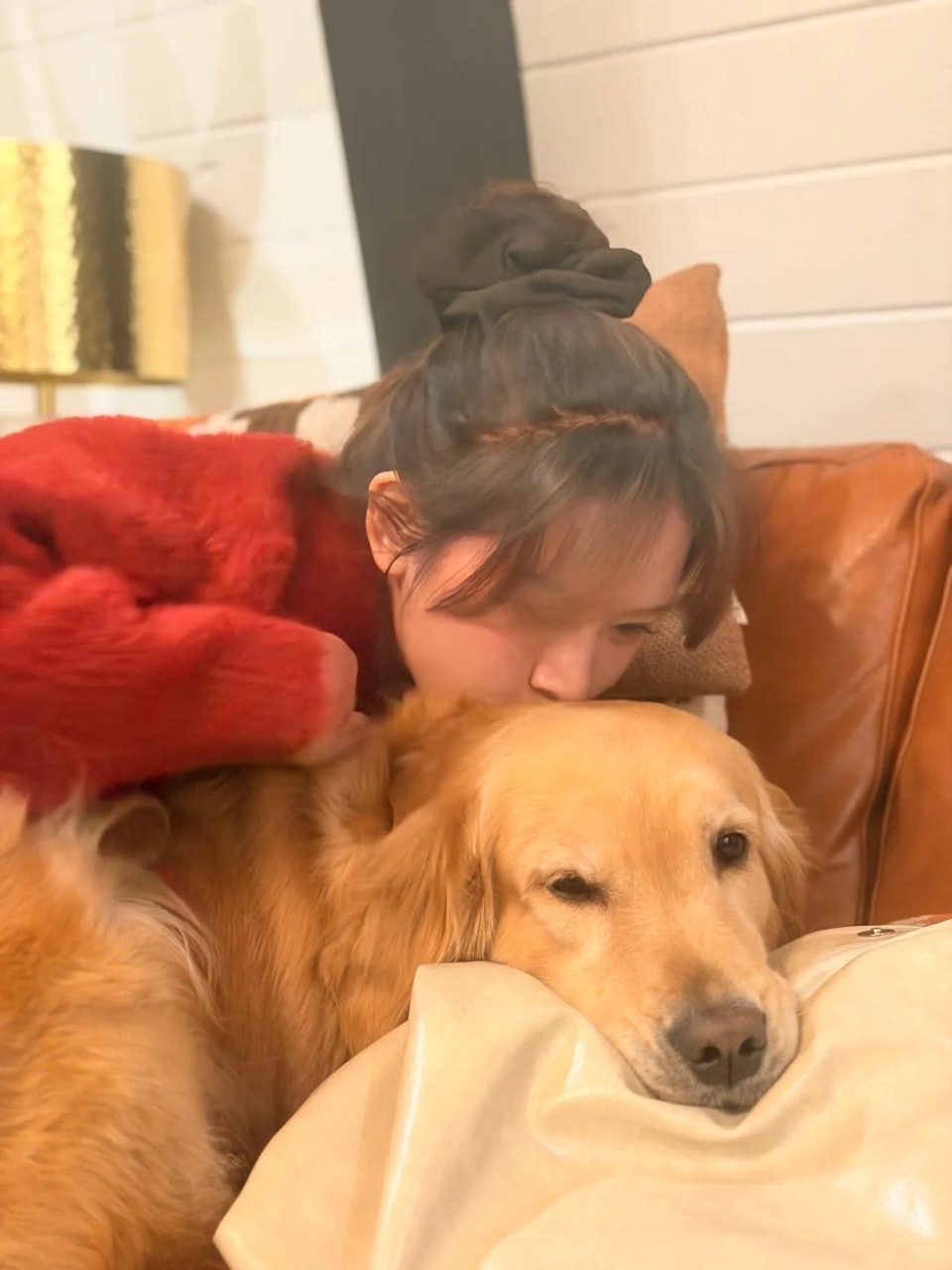 女事主发布爱犬的生活照。 小红书