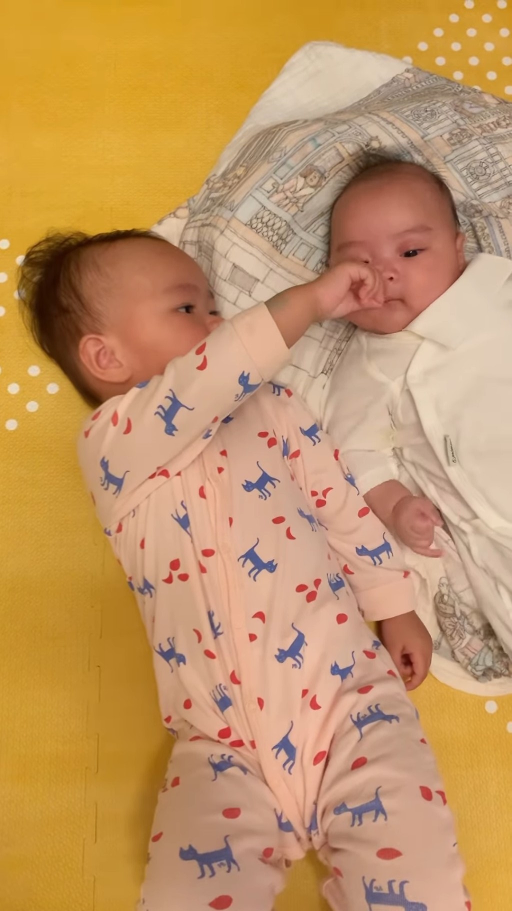朱慧敏的一對仔女萌爆,深得網民歡心。 朱慧敏的一對仔女萌爆,深得網民歡心。