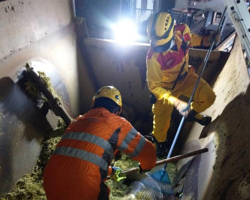 台湾高雄女子牧场打工，跌入饲料搅拌机惨死。（网图）