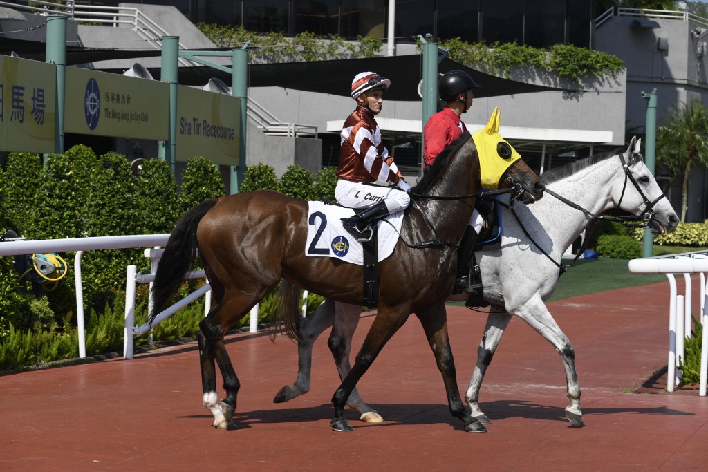 今次「勇眼光」再戰正宗路程，可望憑路合態勇之利，贏馬收復前失。