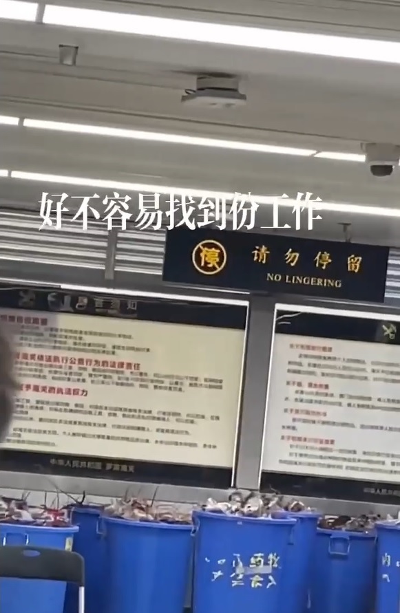 有水貨客形容好不容易找到工作,在羅湖口岸遭一網成擒。(影片截圖)