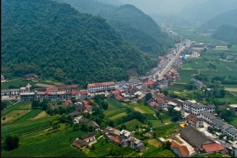 現場是湖北長樂坪鎮。網圖