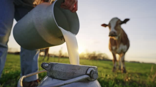 德州鲜榨牛奶验出「高浓度」、H5N1病毒，专家吁切勿饮用未经杀菌的鲜奶。 iStock配图