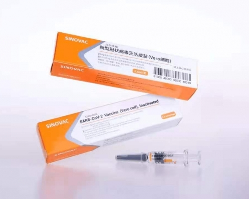 中國科興的新冠疫苗CoronaVac。（網圖）