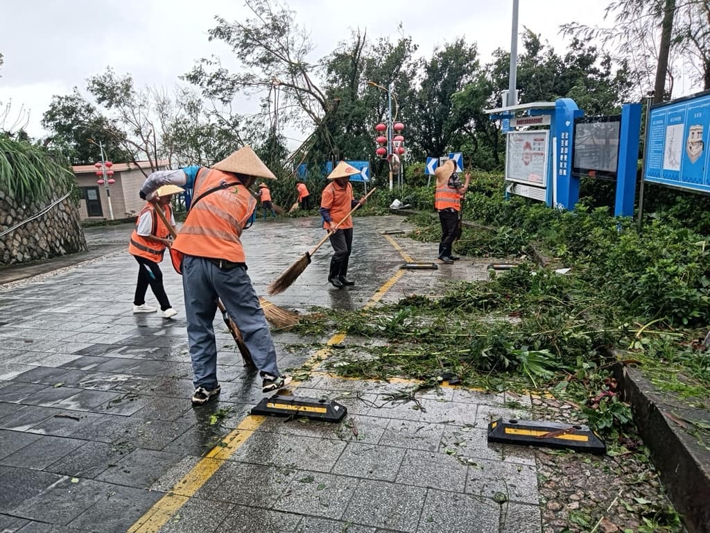 台风过后珠海清理市面倒树。