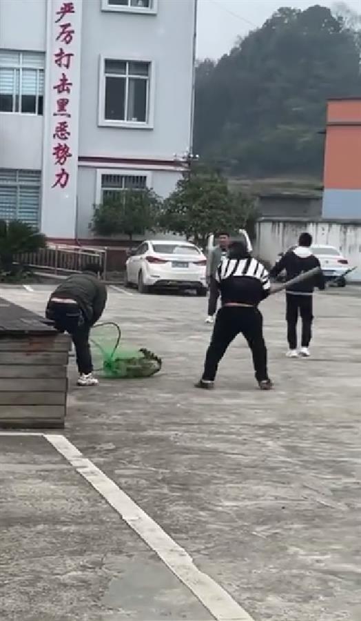 狗被網住有人持棒亂打。網圖