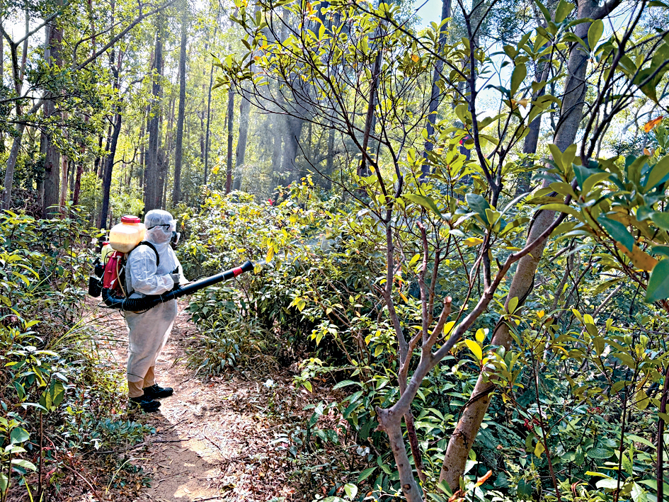 防治蟲鼠督導委員會指，自11月13日首次接獲有患者曾到訪青衣自然徑後，食環署隨即加強滅蚊工作。