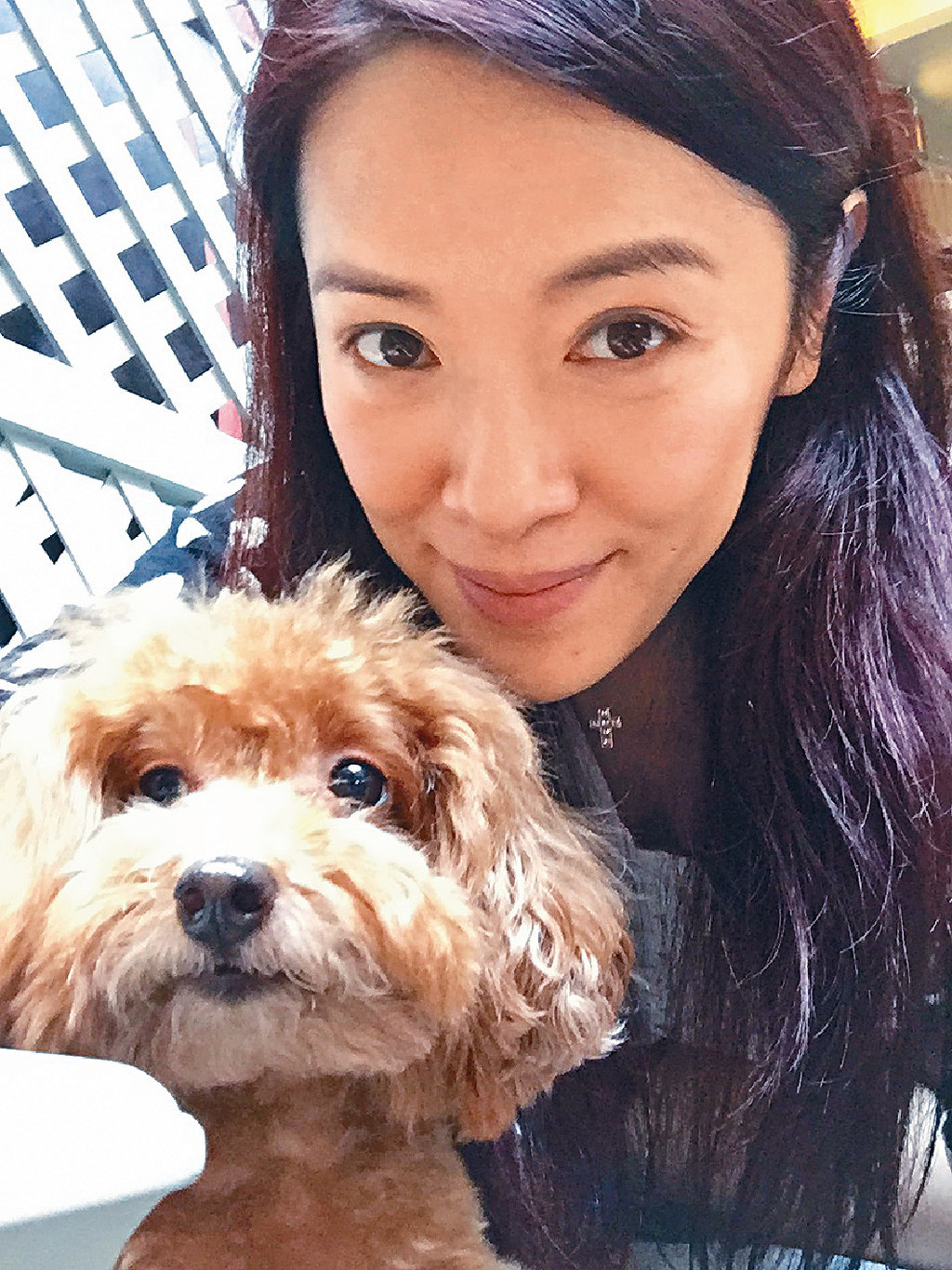 8. 向海嵐 近年復出的向海嵐，在9月為TVB在《We Miss Hong Kong STAY-cation晉級賽》擔任導師，不少人大讚她依然漂亮。早前她在網上公開抱狗狗靚相，以素顏出鏡的她，雖然已經48歲，但看起來依然有種自然美。
