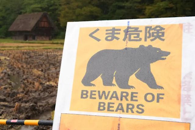 日本到處設警告牌，提醒民眾有熊出沒。美聯社