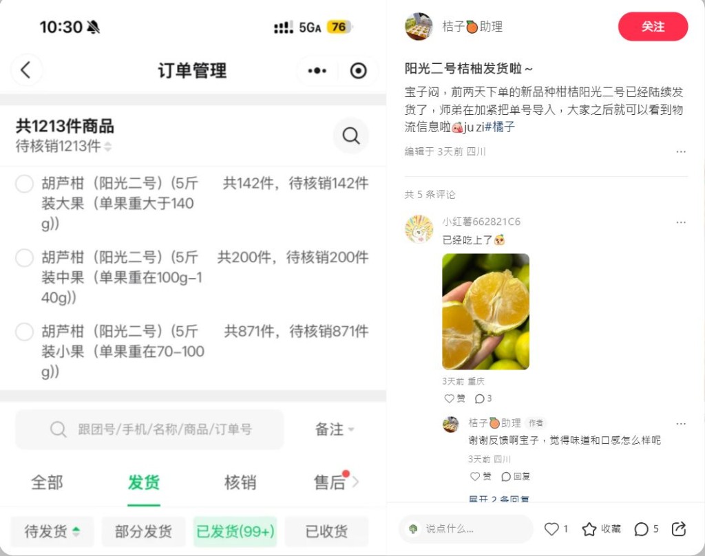 西南大學自種的柑橘「陽光二號」，網上開售首日即賣出三成。小紅書