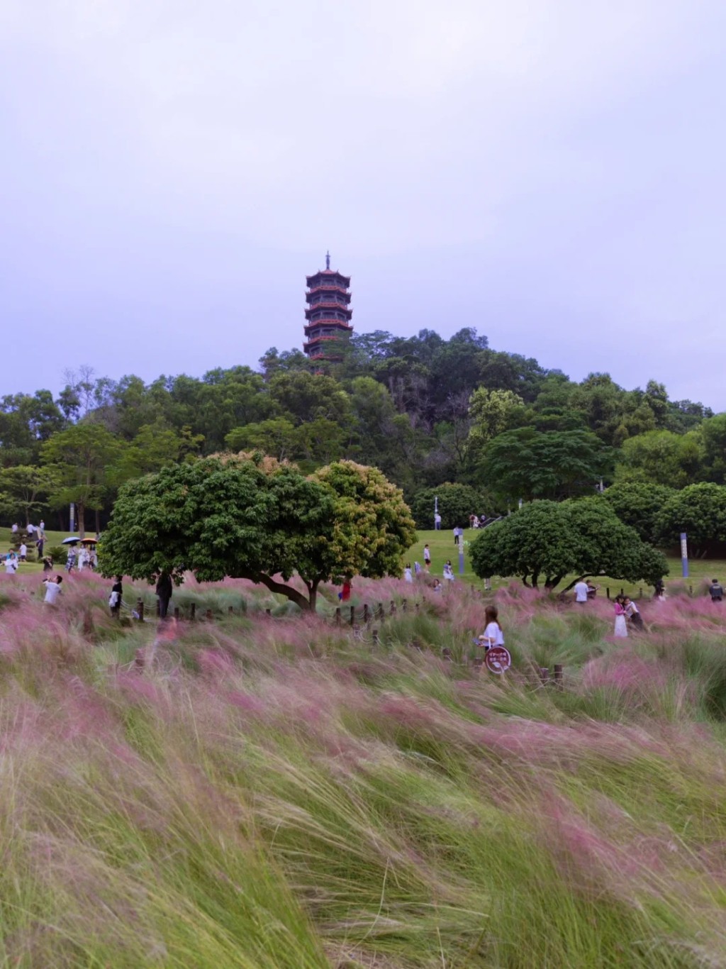 而且各处都能看见位处山顶的明和塔，是个假期好去处（图片来源：小红书@花脚猫summer）