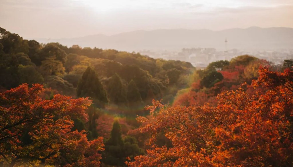 從京都清水寺，可賞到亮麗迷人的秋色。