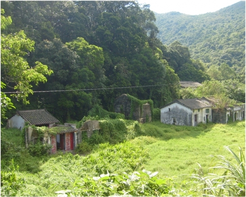 政府指沙羅洞地帶擁有豐富多樣的生境。