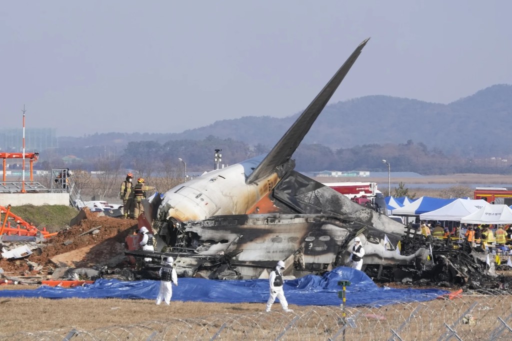 客機降落時疑似因為遭遇鳥擊。美聯社