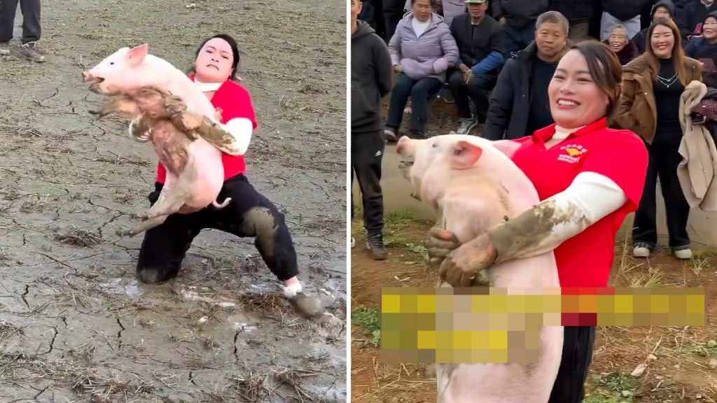 文鳳琴參賽26次抓豬比賽中有22次成功。微博@《中國婦女報》