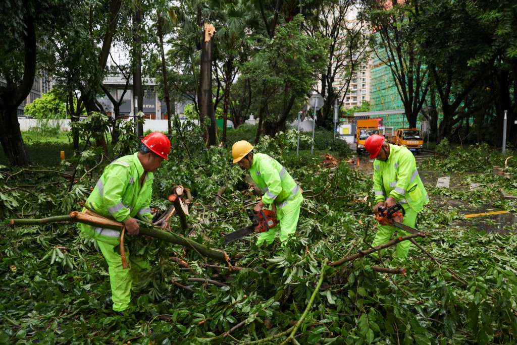 深圳在樺加沙登陸當日停工停市。新華社