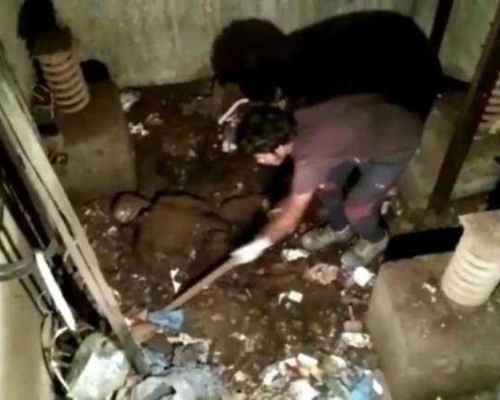 印度一故障停用24年的電梯近日開始維修時發現一副骸骨。網圖