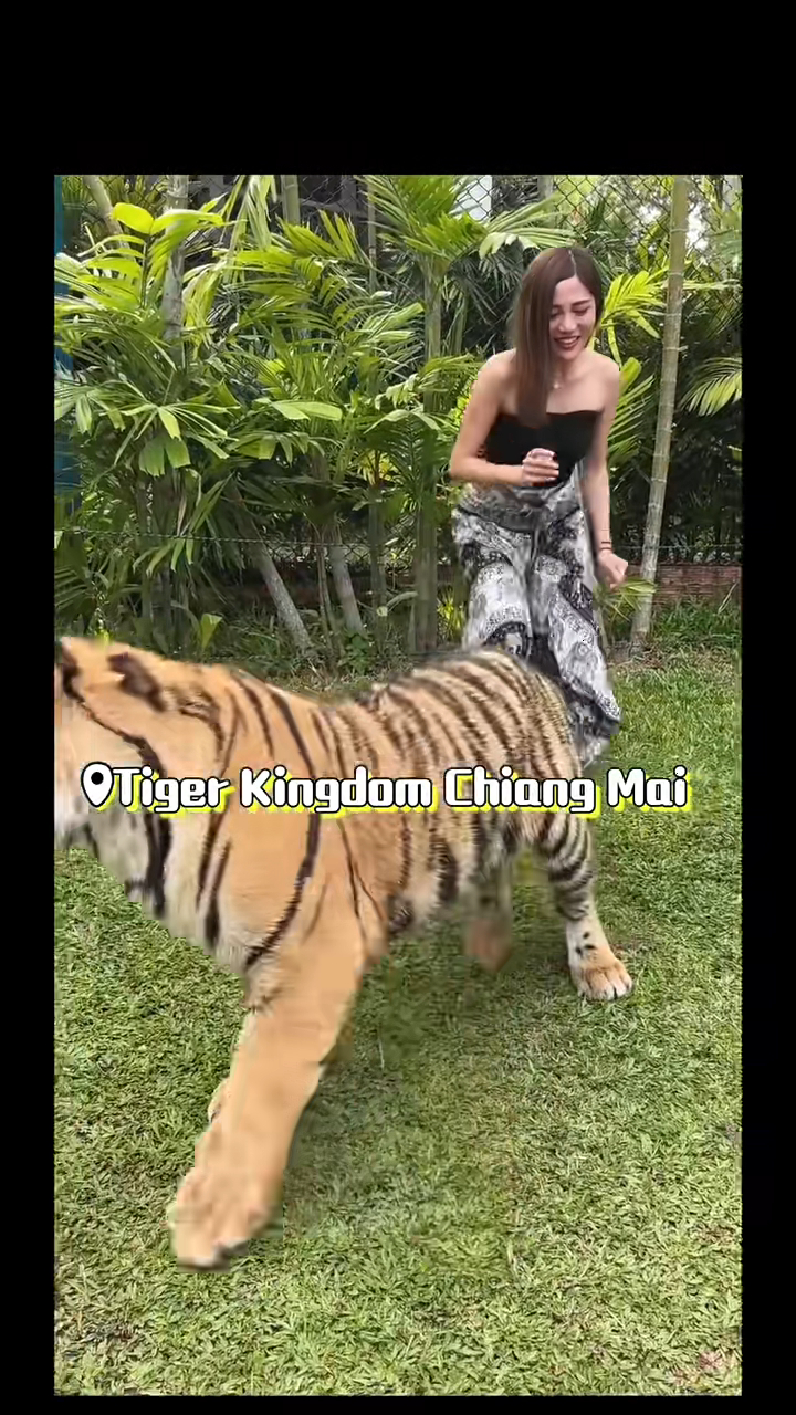 鄧潔瑩身材一流。