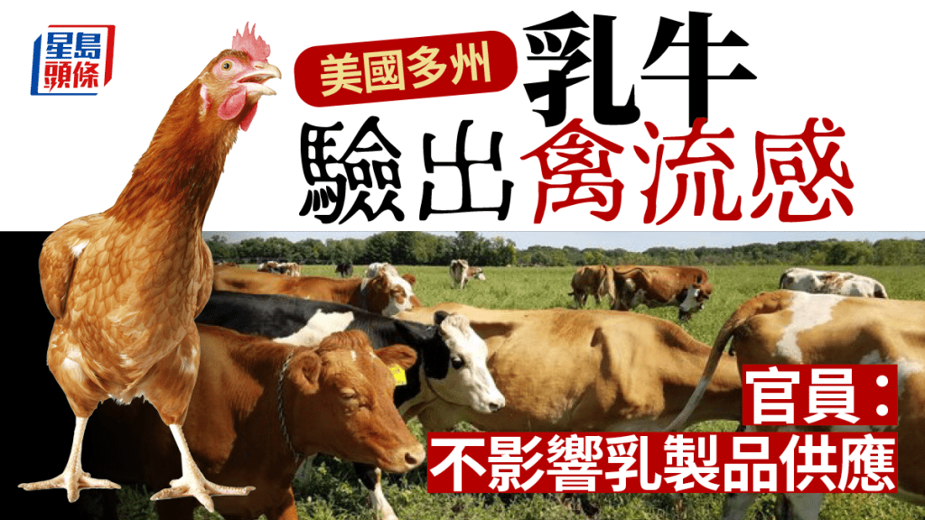美多州乳牛驗出禽流感 官員：不影響乳製品供應