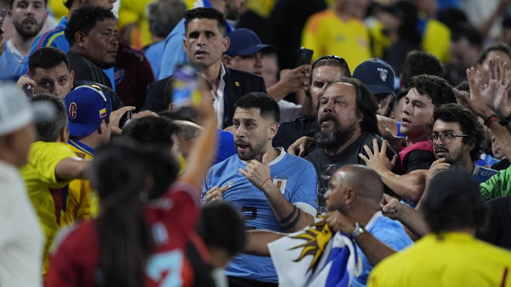 荷西基文尼斯(藍衫)與球迷有衝突。AP