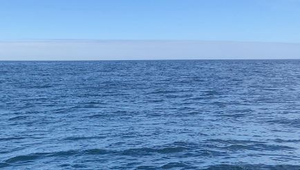 過去研究指滄龍在海洋生活。NASA