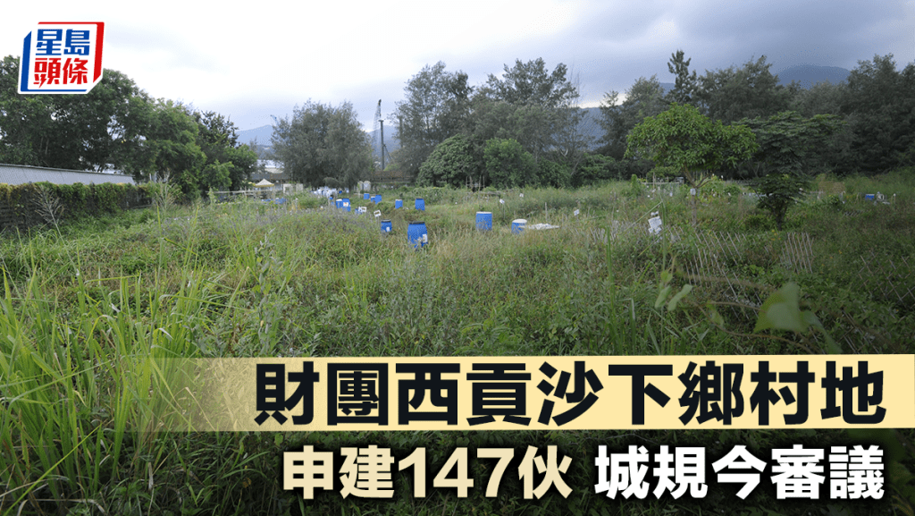 財團西貢沙下鄉村地 申建147伙城規今審議