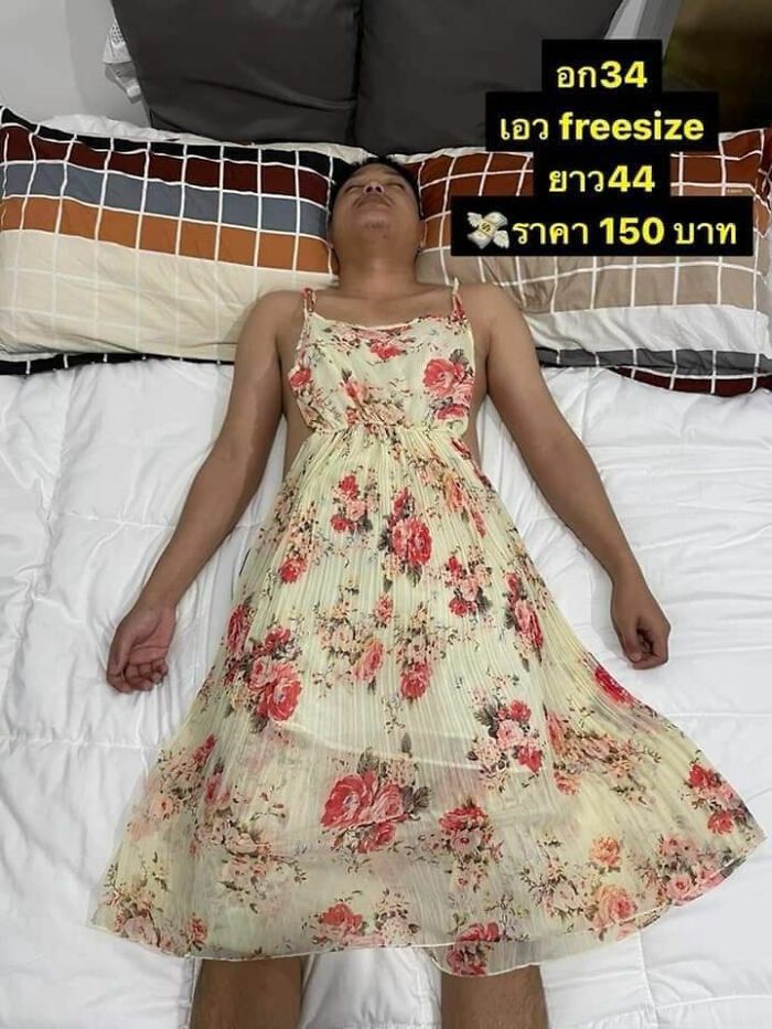 網圖