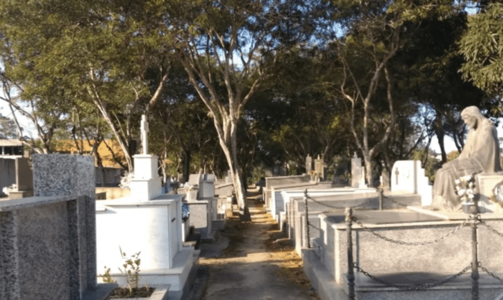 悲劇發生在巴西東南部聖埃斯皮里圖州利尼亞雷斯市的聖若澤市立公墓。google圖片