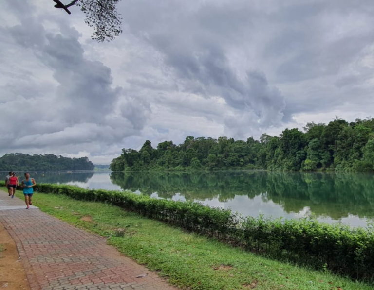 警方曾大規模搜索麥里芝蓄水池。（Singapore National Parks）