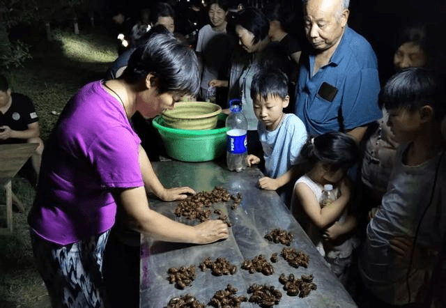 商販現場設點收購金蟬。 揚子晚報 商販現場設點收購金蟬。 揚子晚報