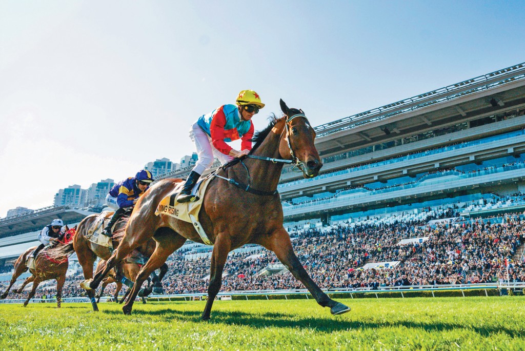 「嘉应高升」轻松赢得一级赛百周年纪念短途杯，成功追平传奇马王「精英大师」尘封近21年的17连胜香港纪录。