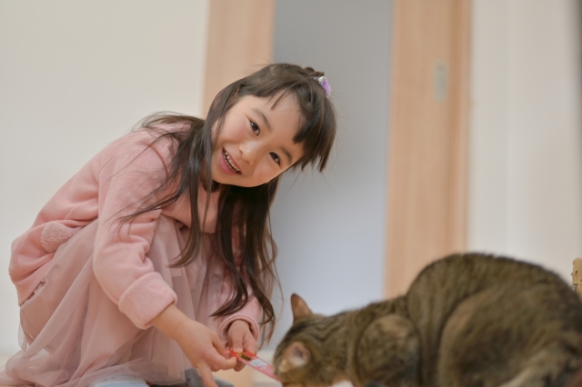 (圖片來源:PhotoAC) (圖片來源:PhotoAC)
