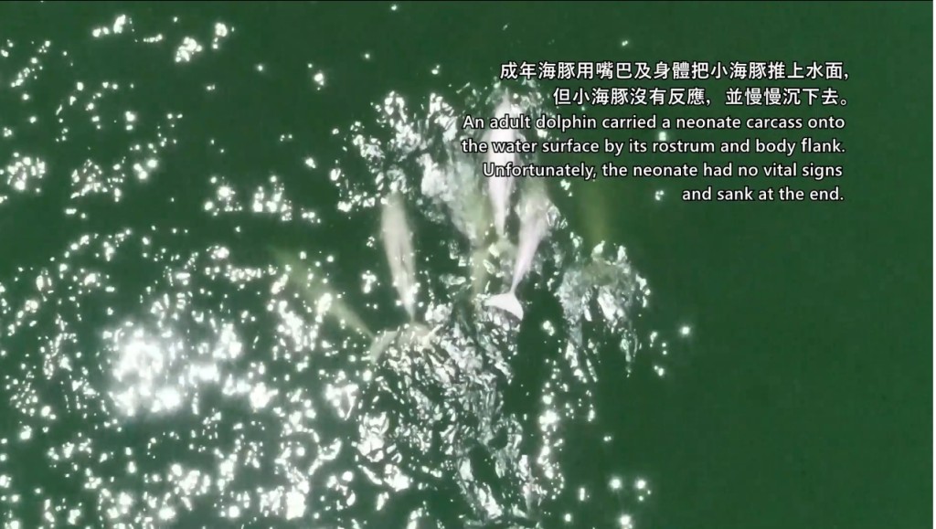 影片截圖