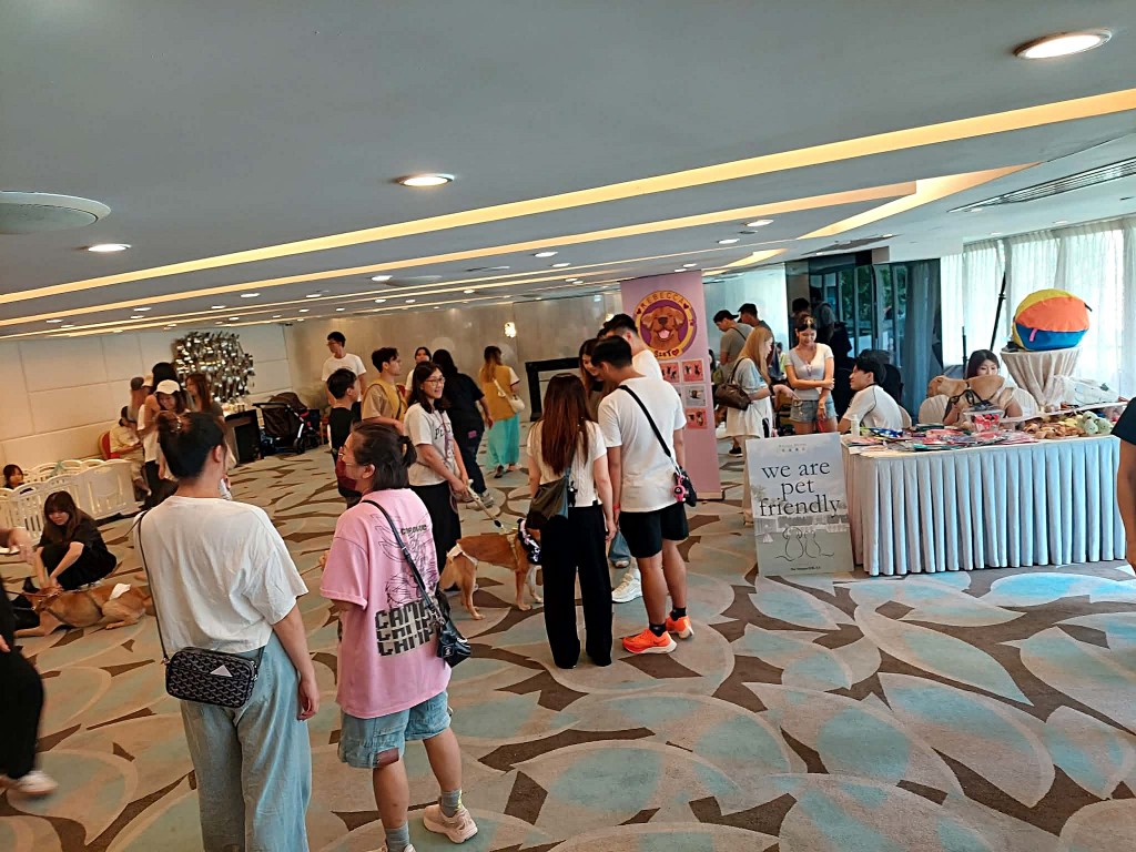 有愛狗團體舉行唐狗聚會，尋覓主人。受訪者提供