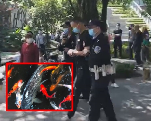 4人在事發當晚用漁網捕撈魚。網圖