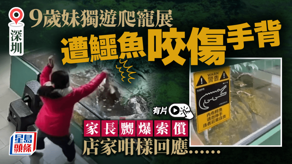 深圳9歲妹獨遊爬寵展遭鱷魚咬傷  家長索償商家嬲爆拒絕｜有片