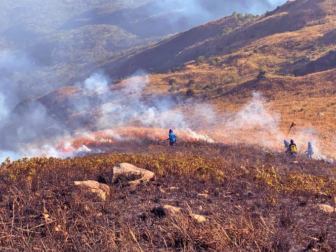 本港2021年至少發生6場山火，由郊野公園火隊聯同消防處及飛行服務隊到場撲救。（香港郊野公園FB圖片）