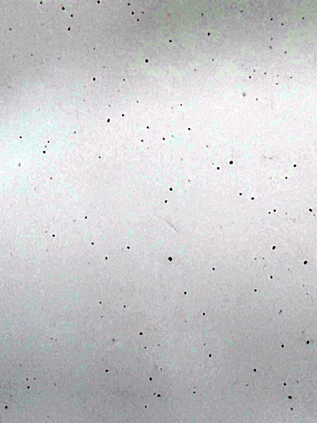 太古城食水出現黑色雜物。fb:太古人太古事 太古城食水出現黑色雜物。fb:太古人太古事