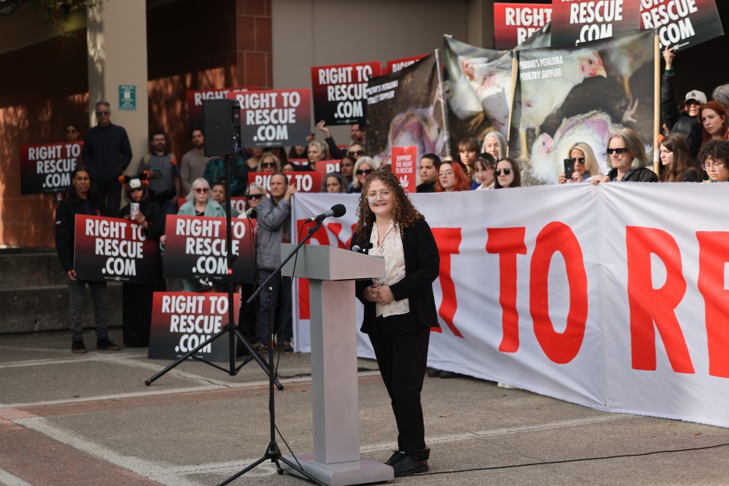 羅森伯格向支持者發表講話。美聯社