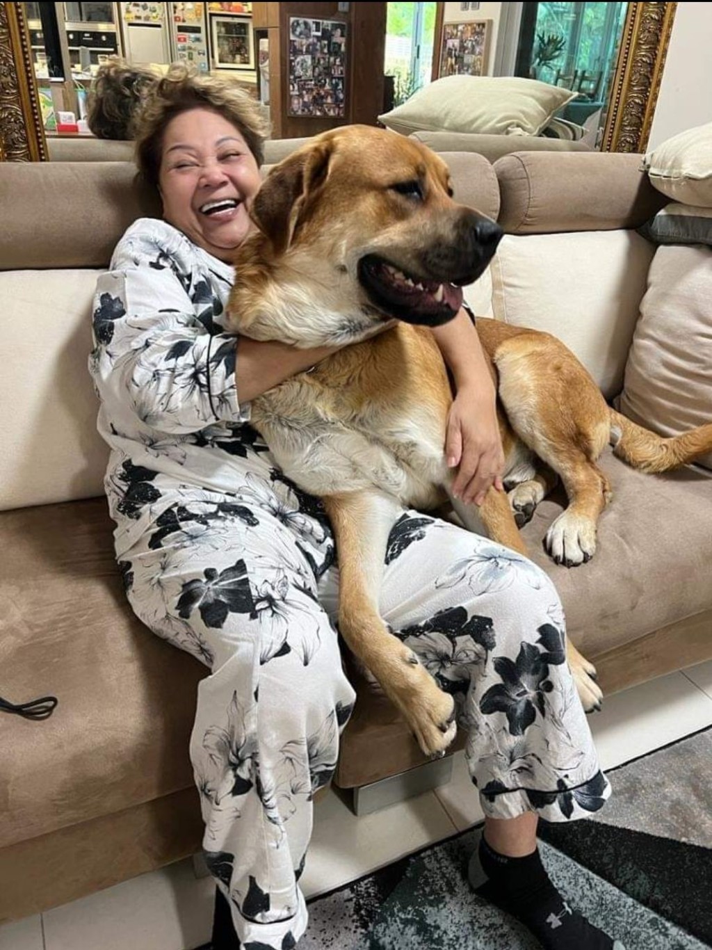家中愛犬帶畀肥媽歡樂及寄託。